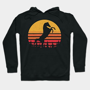 Vintage Horse Hoodie